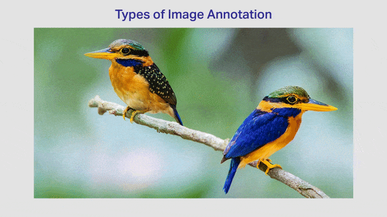 Image annotation & image labeling