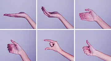Hand gesture