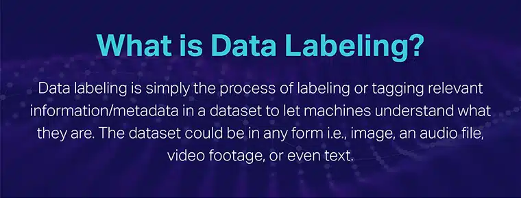 What is data labeling
